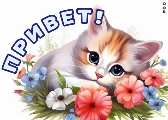 Postcard нежная открытка с котенком и цветами привет