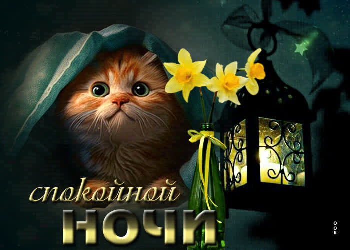 Picture нежная открытка с маленьким котенком спокойной ночи