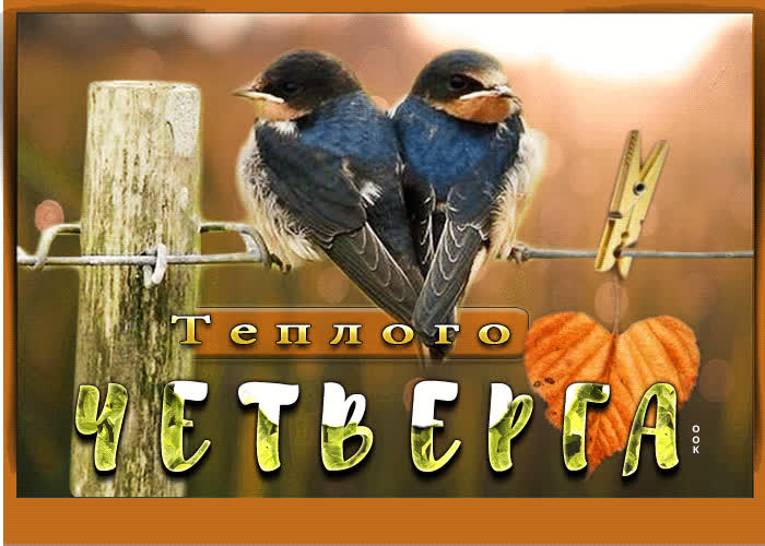 Postcard нежная открытка с птичками теплого четверга
