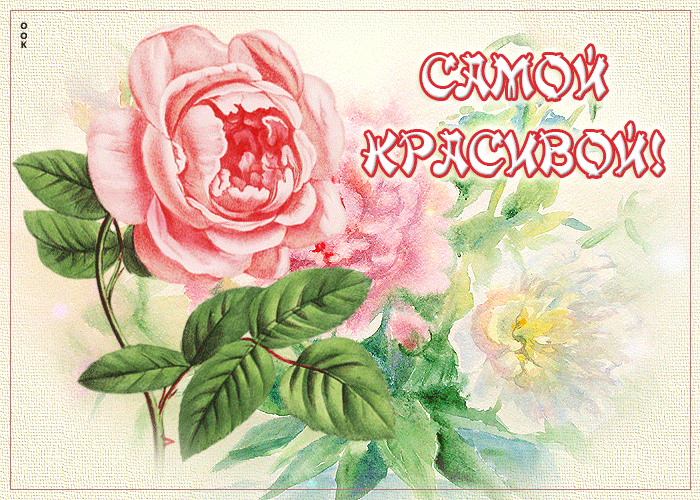 Postcard нежная открытка с розочкой самой красивой