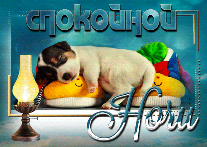Postcard нежная открытка спокойной ночи! с маленькой собачкой