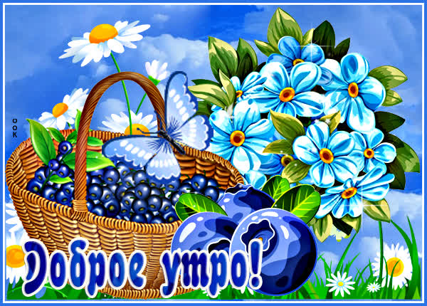 Картинка новая открытка доброе утро с цветами и ягодами