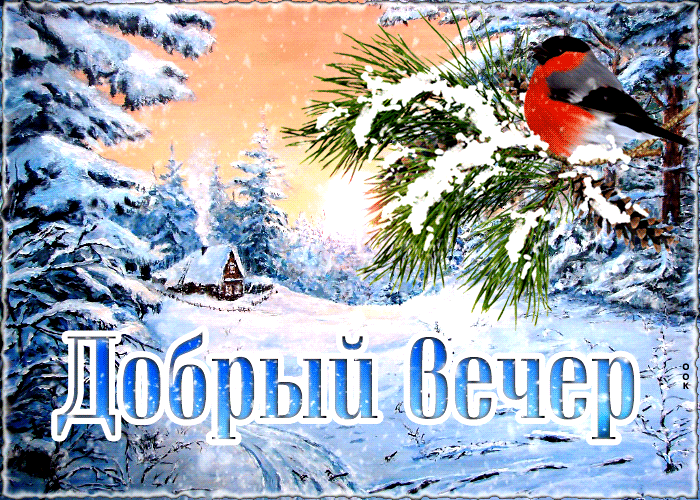 Открытка новая открытка добрый вечер с птичкой в зимнем лесу
