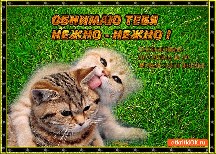 Ревную, картинки с надписями обнимаю тебя нежно нежно