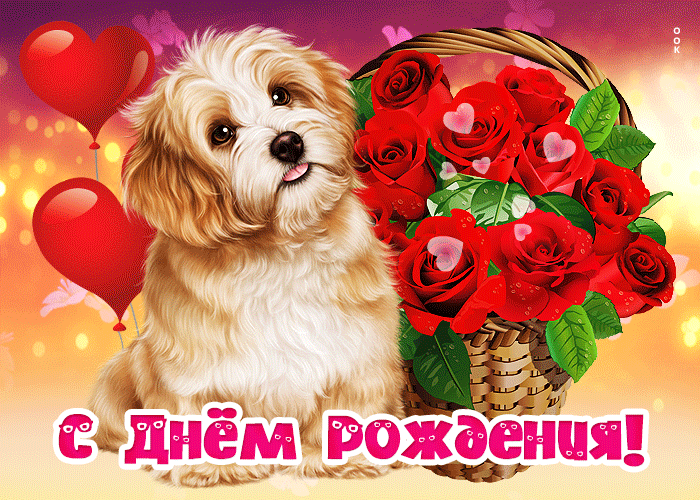 Picture обворожительная открытка с собачкой с днем рождения