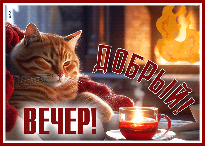 Postcard очаровательная и легкая гиф-открытка с котиком добрый вечер