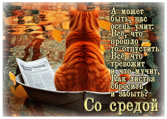 Postcard очаровательная и уютная осенняя гифка со средой