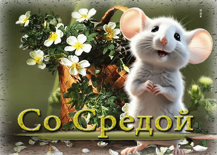 Picture очаровательная и яркая гиф-открытка с мышкой со средой