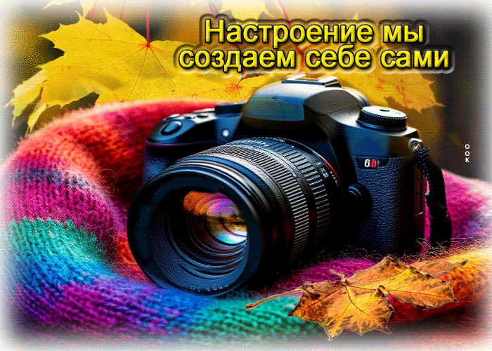 Postcard очаровательная осенняя гифка настроение мы создаем себе сами