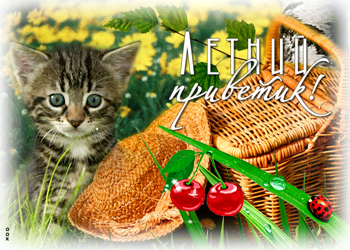 Picture очаровательная открытка летний приветик! с котенком