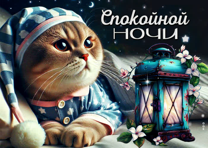 Picture очаровательная открытка с котиком спокойной ночи
