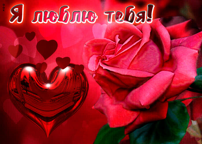 Picture очаровательная открытка с розой я люблю тебя