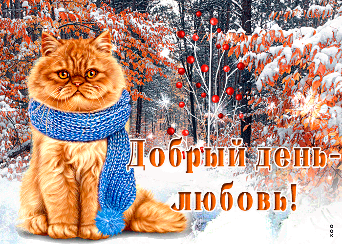 Picture очаровательная открытка с рыжим котом добрый день - любовь