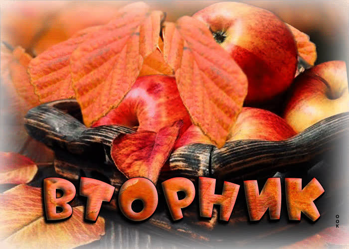 Picture очаровательная открытка с яблочками вторник