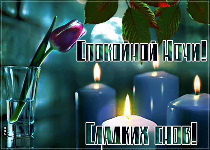 Очаровательная открытка Сладких снов! С тюльпаном- Скачать бесплатно на ...