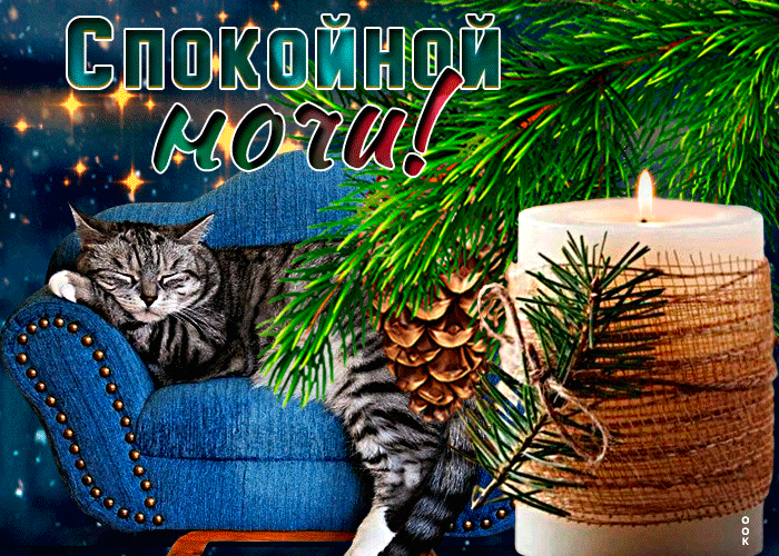 Postcard очаровательная открытка со спящим котом спокойной ночи