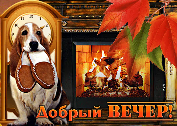Postcard оптимистическая и светлая гиф-открытка с собачкой добрый вечер