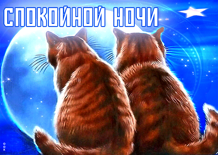 Postcard оригинальная и уникальная открытка с двумя котами спокойной ночи