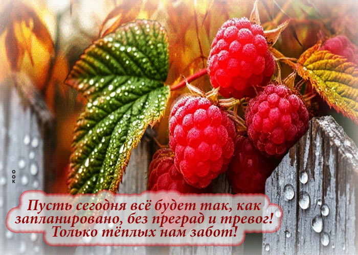 Postcard оригинальная осенняя гифка пусть сегодня все будет так, как запланировано