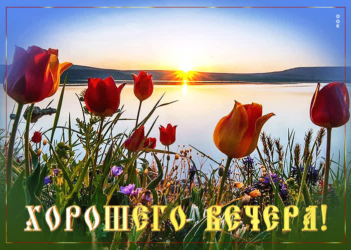 Открытка оригинальная открытка хорошего вечера у озера с тюльпанами