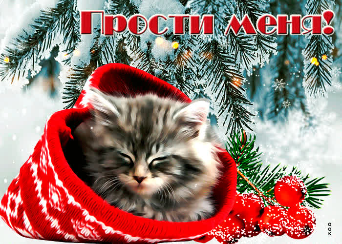 Оригинальная открытка прости меня - Скачать бесплатно на otkritkiok.ru