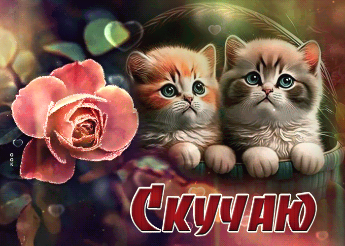 Postcard оригинальная открытка с котятами и розой скучаю