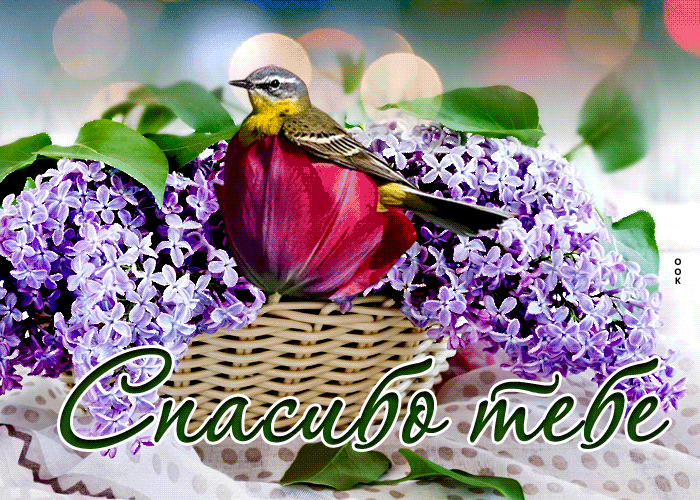 Postcard оригинальная открытка с птичкой в цветке спасибо тебе