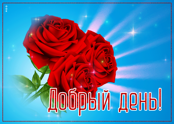 Picture оригинальная открытка с тремя розами добрый день