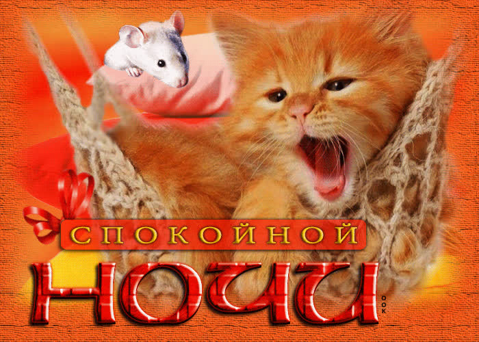 Postcard оригинальная открытка спокойной ночи! с котом и мышкой