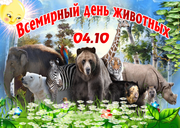 Открытка оригинальная открытка всемирный день животных