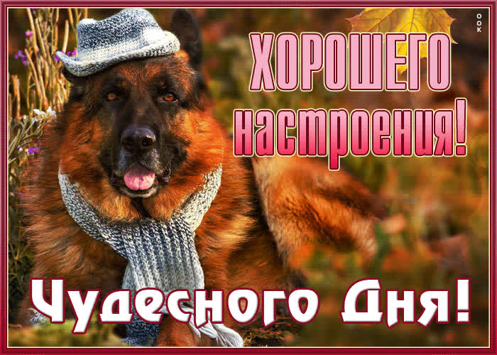 Postcard осенняя гиф-открытка хорошего настроения! чудесного дня