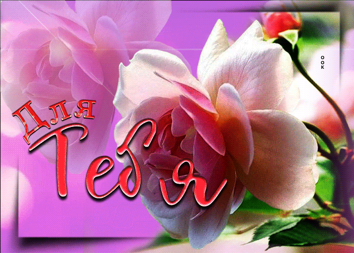 Picture особенная и уникальная открытка с розой для тебя