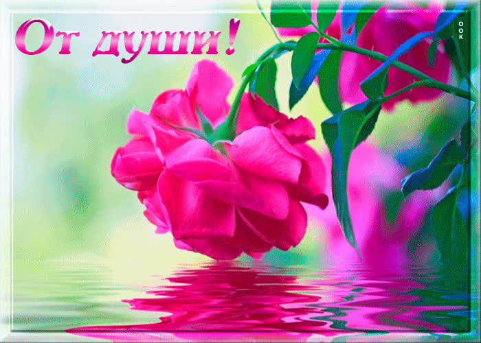 Открытка с тиснением «Поздравляю от всей души», цветы в банке купить оптом в Иркутске