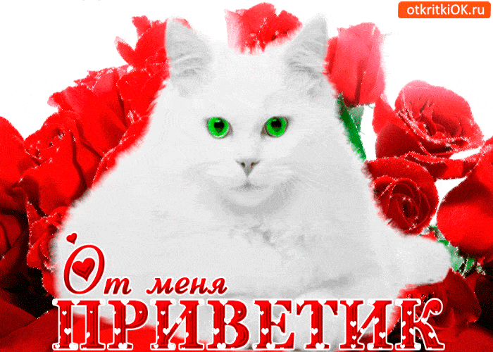 Картинки, открытки привет тебе от меня