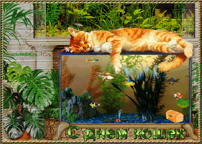 Открытка открытка день кошек