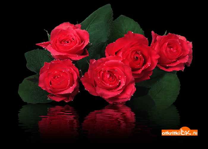 Открытка открытка цветами розы