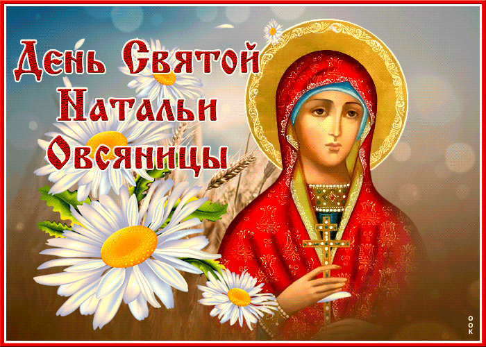 Картинка открытка день святой натальи овсяницы с цветами