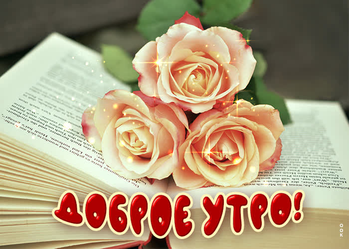 Открытка открытка доброе утро с розами и книгой
