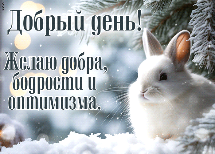 Postcard открытка добрый день! с кроликом. желаю добра, бодрости и оптимизма