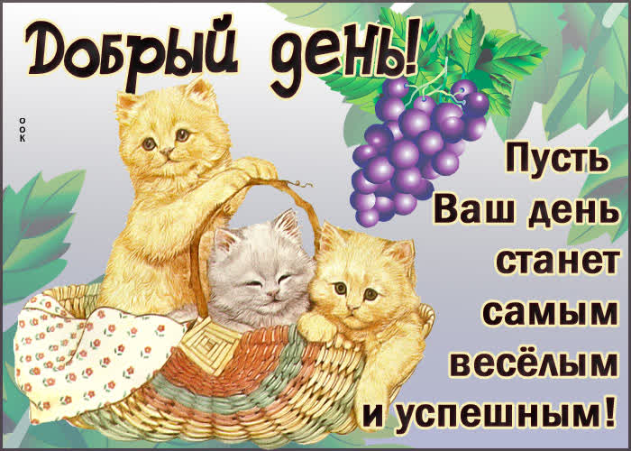 Открытка открытка добрый день с котиками