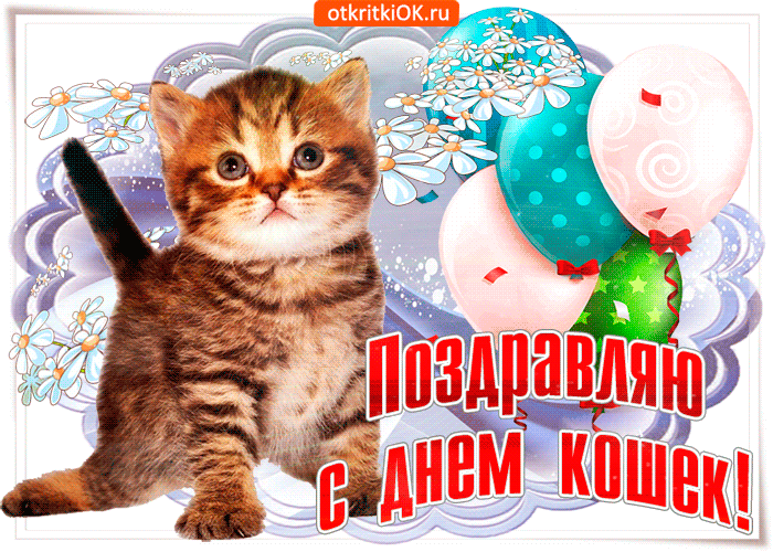Картинка открытка ко дню кошек