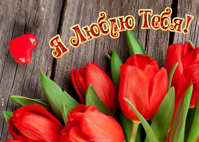 Открытка открытка люблю с тюльпанами