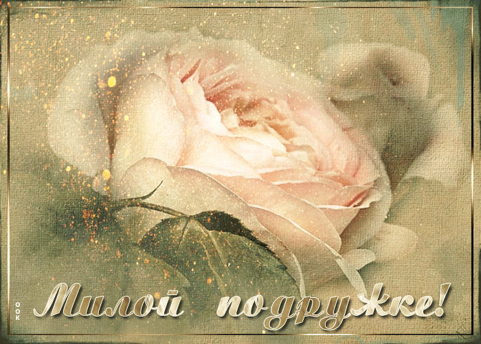 Картинка открытка подруге с розой