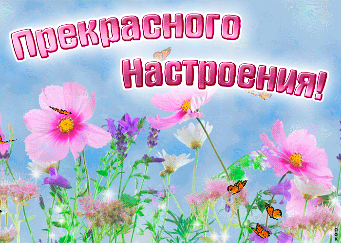 Картинка открытка прекрасного настроения с полевыми цветами