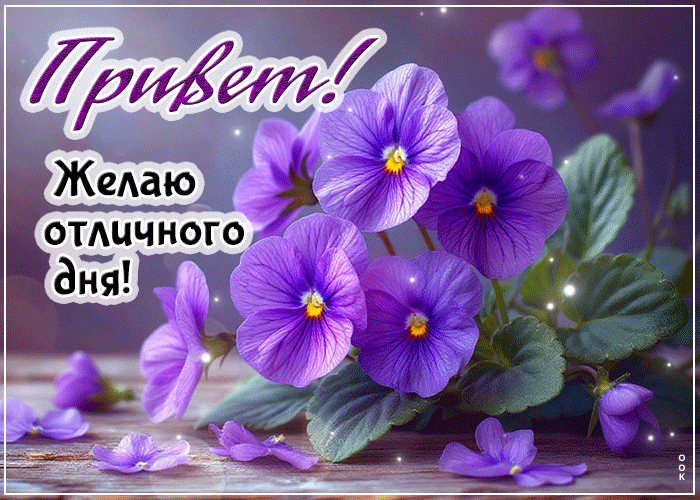 Postcard открытка привет! желаю отличного дня!