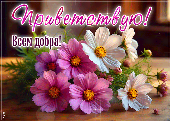 Postcard открытка приветствую! всем добра