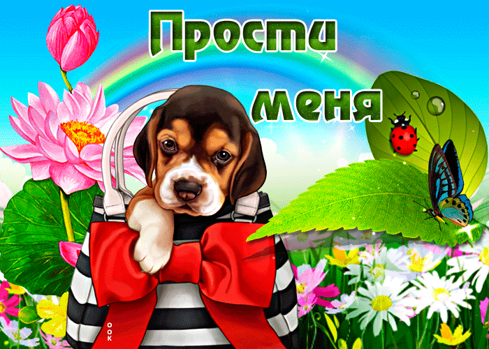 Картинка открытка прости с щеночком