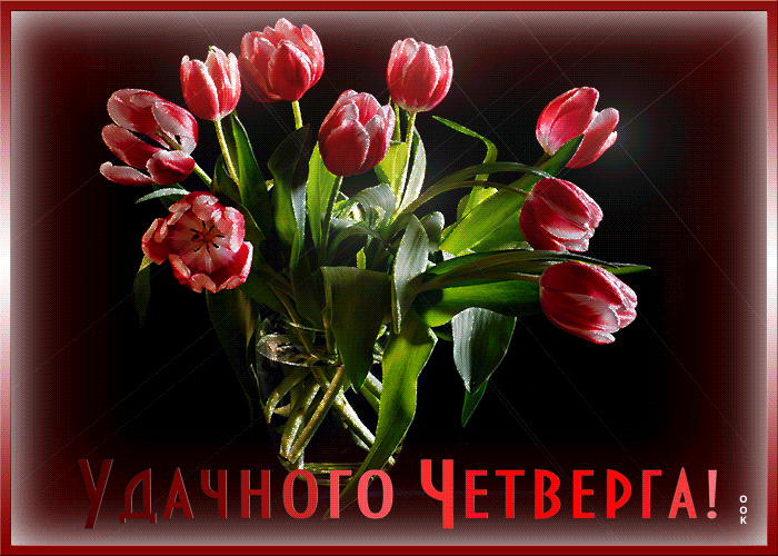 Картинка открытка с четвергом с тюльпанами