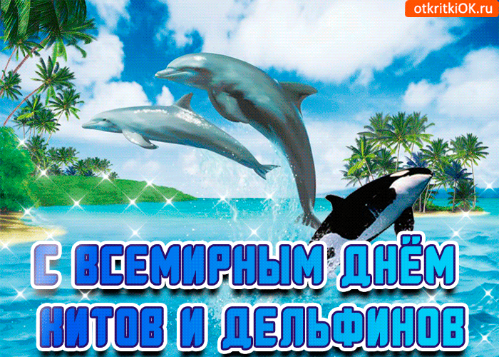 otkrytka s dnem kitov i delfinov 46547 5781138