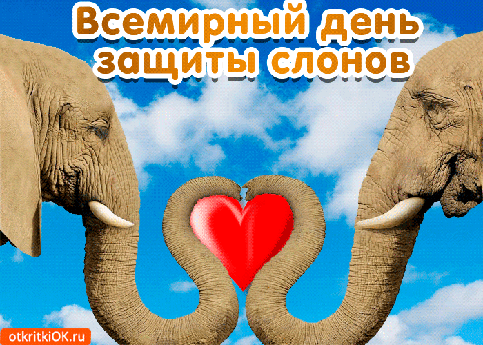 Открытка открытка с днём защиты слонов